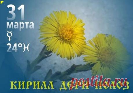Я желаю, чтоб Кирилл, Что Дери-полоз, Тебе с ветерком весенним Много радости принес! Открытки на Кирилл – Дери полоз!