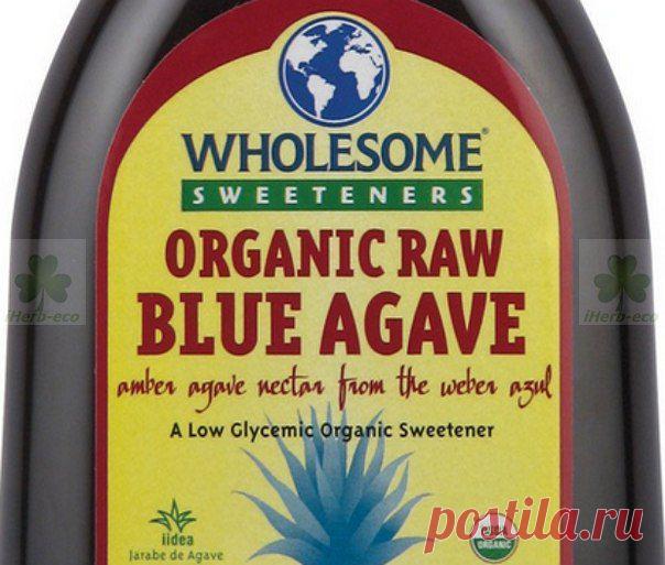 Wall | VK  Диабетикам и Худеющим от iHerb на заметку
Свежий сироп агавы - отличная замена рафинированному сахару и искусственной фруктозе, продукт с низким гликемическим индексом (всего 17).