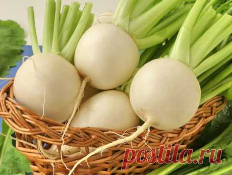 Вкусные блюда из репы: 6 рецептов | Вкусные рецепты