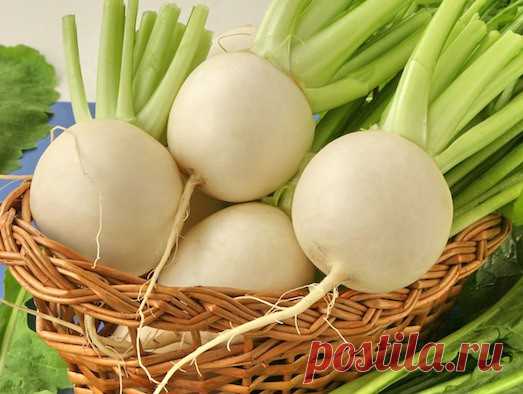Вкусные блюда из репы: 6 рецептов | Вкусные рецепты
