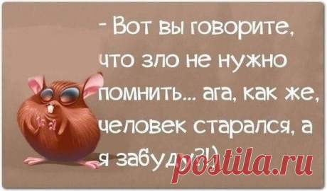Приколы Юмор
