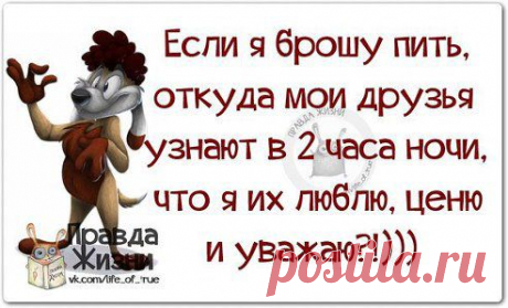 О друзьях ,товарищах.