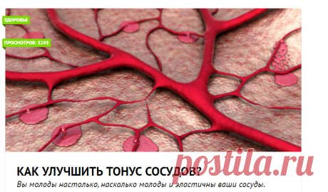 Как улучшить тонус сосудов?
