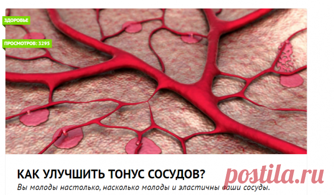 Как улучшить тонус сосудов?