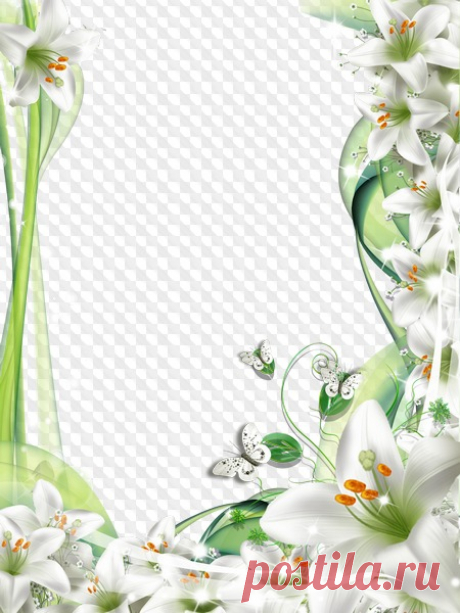 Marco de fotos Lirios Blancos y Mariposas. Marco PNG transparente, plantilla de marco de fotos en capas PSD, descarga.