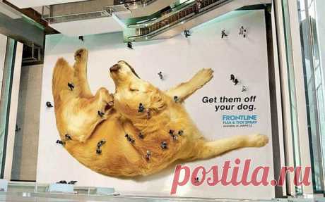 Пол в торговом центре Джакарты — реклама спрея от блох для собак