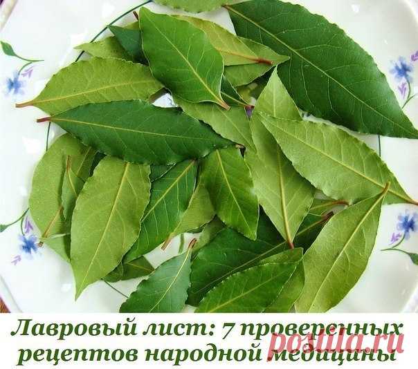 Лавровый лист: 7 проверенных рецептов народной медицины 🌿