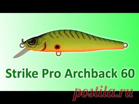 Strike Pro Archback 60