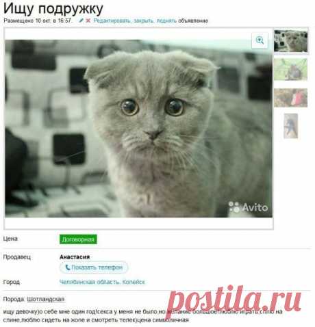 Ржачные объявления на Авито