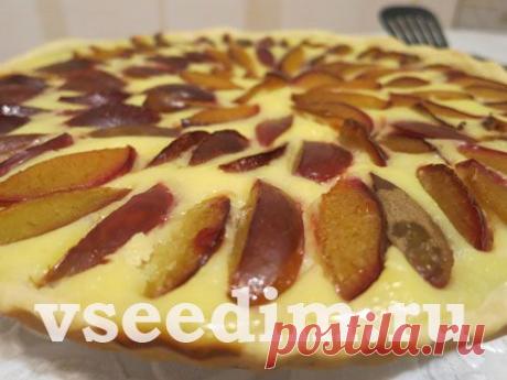 Потрясающий сливовый тортик - идеально в нем все - и начинка, и тесто, и сочность, и сладость, и кислинка!