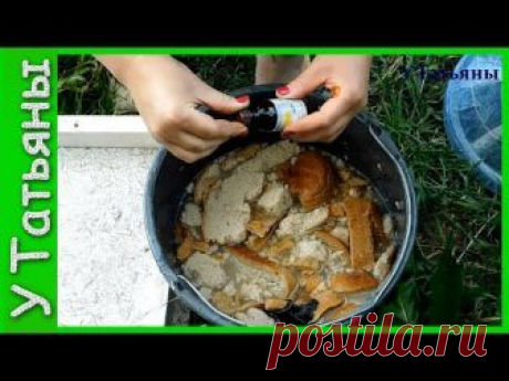 Удобрение из хлеба и йода применяется для подкормки огурцов, клубники, цветов и многих других растений. ---------МОИ ПЛЕЙЛИСТЫ----------- 1) Консервация http...