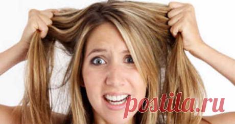 Что делать, если волосы быстро жирнеют? Причины и устранение проблемы — Планета и человек