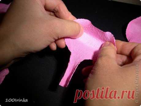 Фотографии на стене сообщества | 32 773 фотографии | ВКонтакте