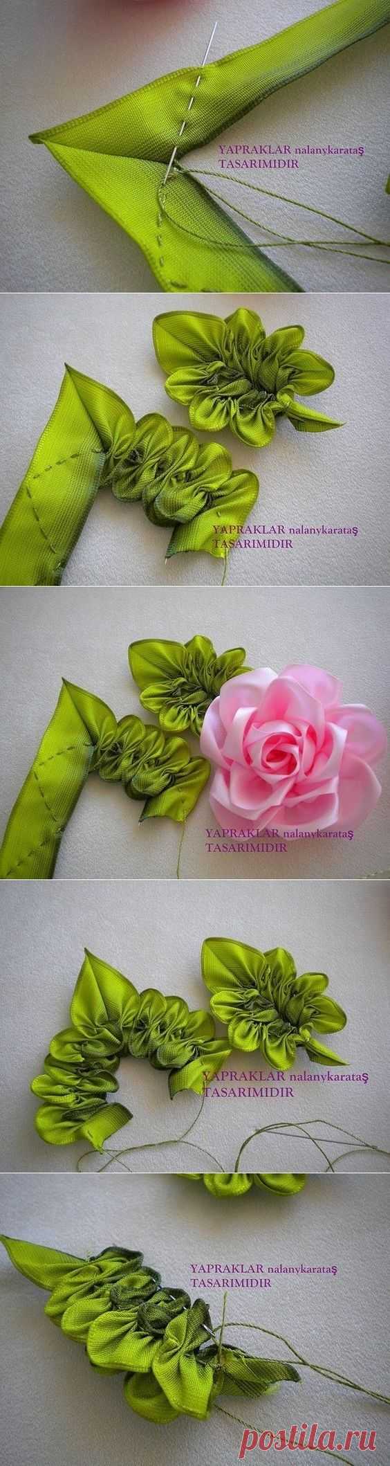 (65) Pinterest