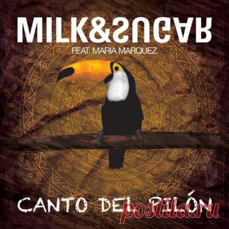 Milk & Sugar - Canto Del Pilon free download mp3 music 320kbps