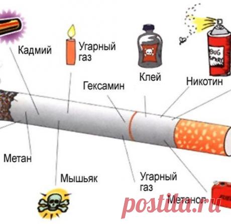 5 продуктов избавляющих от никотина в организме