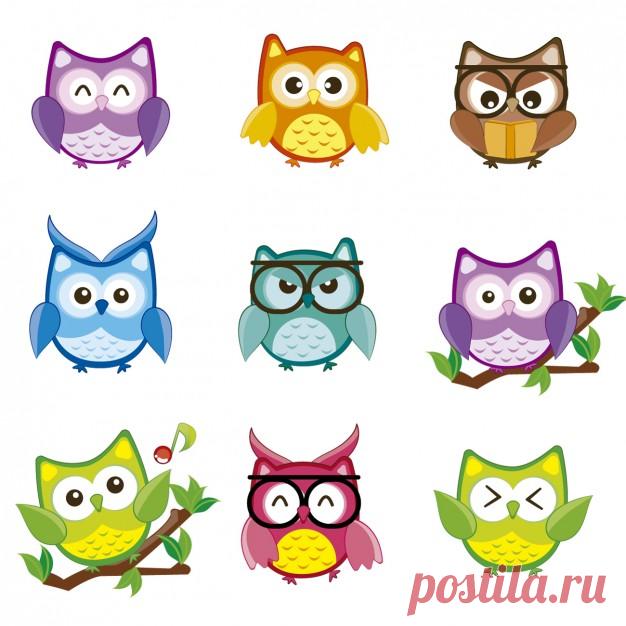 Коллекция Красочные совы Более миллиона свободных векторов, PSD, фотографии и бесплатные иконки. Эксклюзивные халявы и все графические ресурсы, которые необходимые для ваших проектов