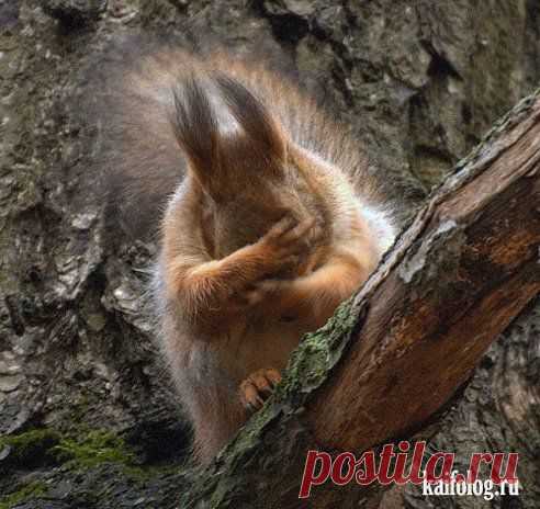 ПРЯТКИ!Кто не спрятался-я не виновата!