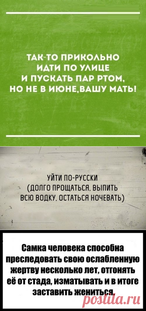 Прикольные картинки для настроения (46 шт)