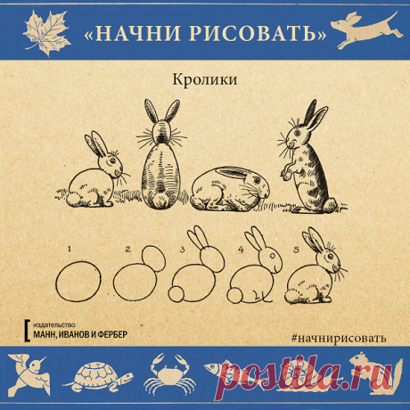 Кролики