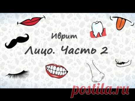 Части лица на иврите (часть 2). Запоминаем части лица на иврите - YouTube