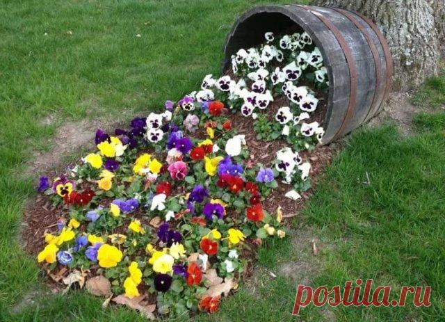 Идеи для дачи из ненужных вещей: 10 лайфхаков | Тренды (Огород.ru)