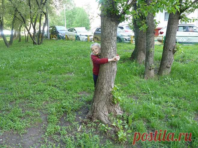 в три обхвата....
