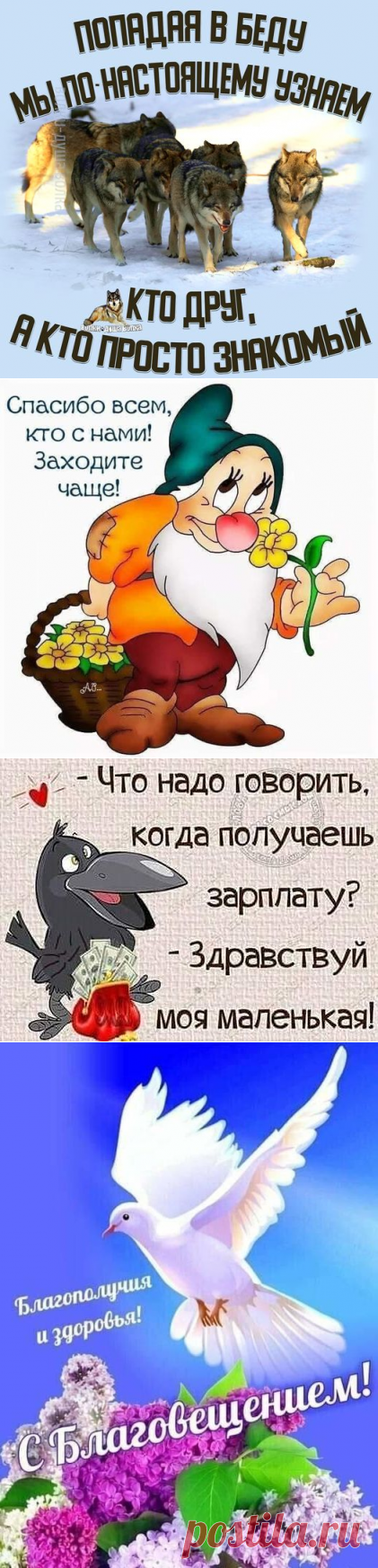 (11) 👍🤣 ДЛЯ НАСТРОЕНИЯ 🥰 | Facebook