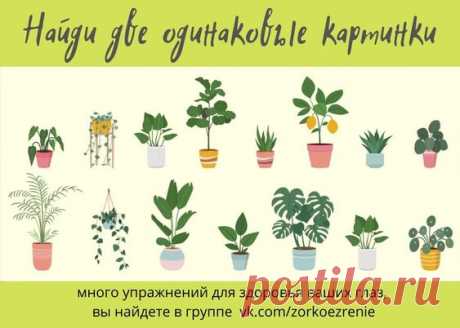 ВОССТАНОВИТЬ ЗОРКОЕ ЗРЕНИЕ С ЕВГЕНИЕМ СЛОГОДСКИМ