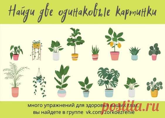 ВОССТАНОВИТЬ ЗОРКОЕ ЗРЕНИЕ С ЕВГЕНИЕМ СЛОГОДСКИМ