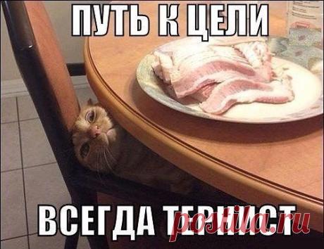 Работа на дому. Вложений нет, но надо работать. Оплата без задержек. График свободный. Обучение бесплатное в процессе работы. Для получения информации оставляйте электронки под фото