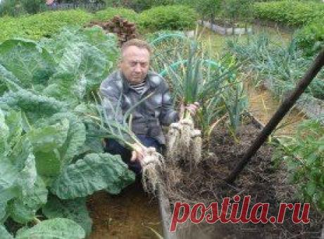 (99) Одноклассники