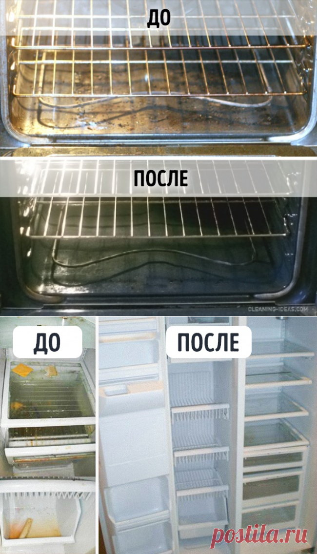 14 простых способов сделать вашу кухню чище