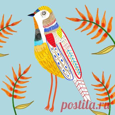 bird illustration, artwork, illustrator, for hire, license, art print, bird pattern, illustration art, drawing, nature art, animal illustration, - Ashley Percival Illustration