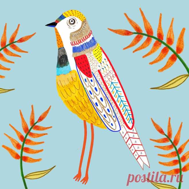 bird illustration, artwork, illustrator, for hire, license, art print, bird pattern, illustration art, drawing, nature art, animal illustration, - Ashley Percival Illustration