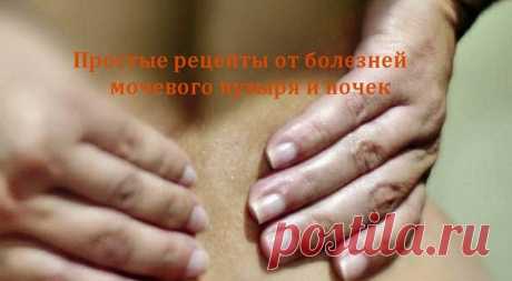 Простые рецепты от болезней мочевого пузыря и почек