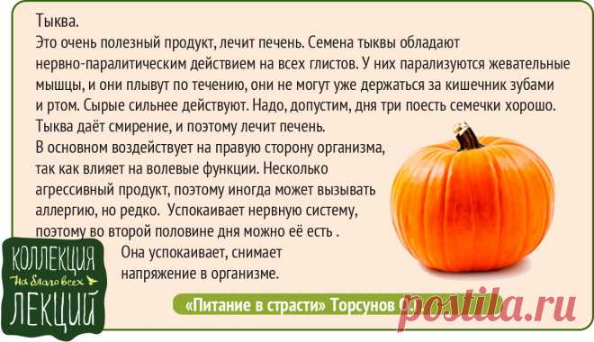 Тыква