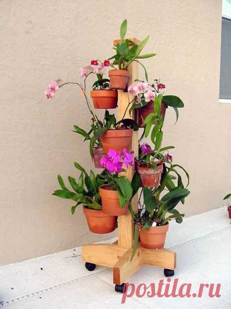 Alexander Marcial - Google+