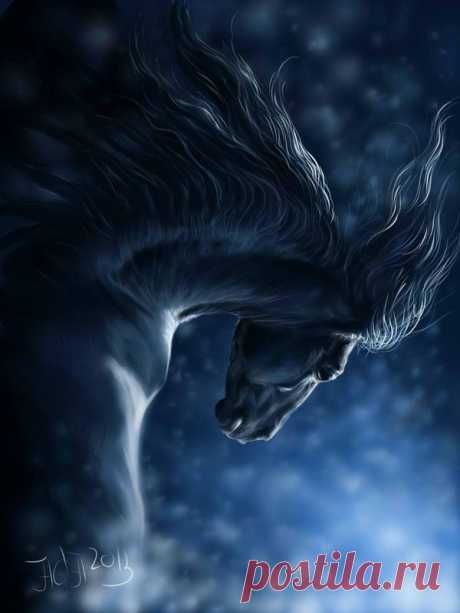 flying by Animal75Artist on DeviantArt