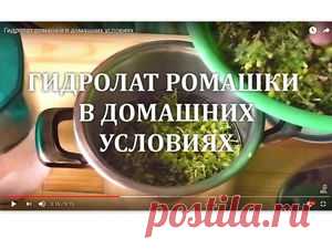 Видео мастер-класс: процесс получения гидролата ромашки в домашних условиях Представленный вашему вниманию видеоурок показывает подробный процесс получения гидролата или, как его ещё называют, цветочной воды, своими руками в домашних условиях. Тема гидролатов на сегодняшний день продолжает быть актуальной и интересной для многих, поскольку этот натуральный продукт, получаемый из растительного сырья, отличается безопасностью и наличием в своём составе большого количества по...