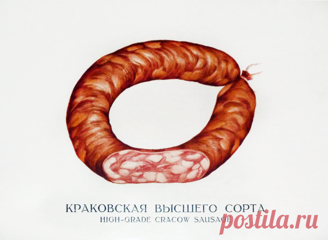 Рецепт Краковской колбасы по Конникову, 1938 год, колбаса по ГОСТу. | Фермер72 - рецепты и статьи | Дзен