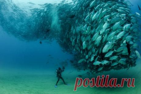 15 фоток с очень неожиданным сюжетом