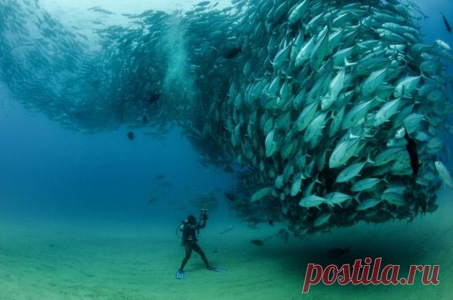 15 фоток с очень неожиданным сюжетом