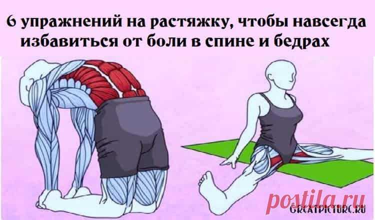 6 упражнений на растяжку, чтобы навсегда избавиться от боли в спине и бедрах 



6 упражнений на растяжку, чтобы навсегда избавиться от боли в спине и бедрах.»Пока попа не болит — приключения не заканчиваются» 😉🍑.Лучше упражнения для тех, кто старше 30.


У вас когда-нибудь бо…