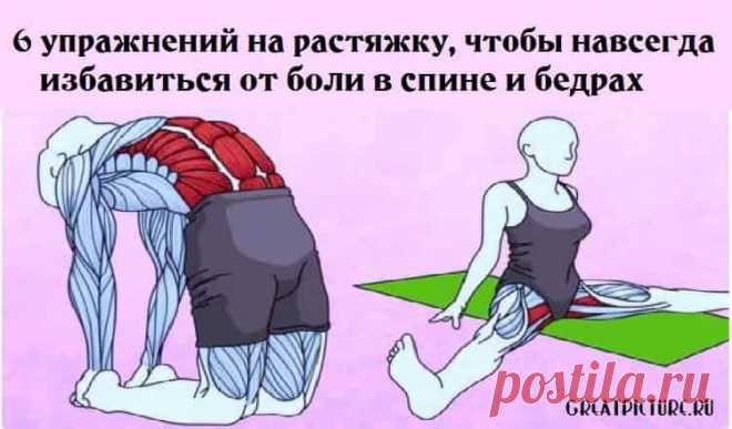 6 упражнений на растяжку, чтобы навсегда избавиться от боли в спине и бедрах