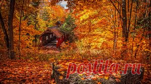 Природа обои, фото, картинки на рабочий стол