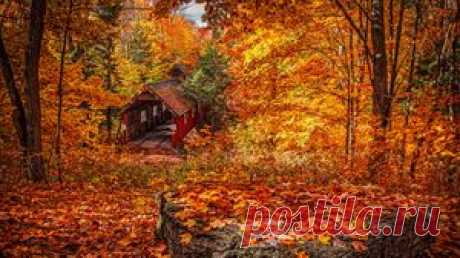Природа обои, фото, картинки на рабочий стол