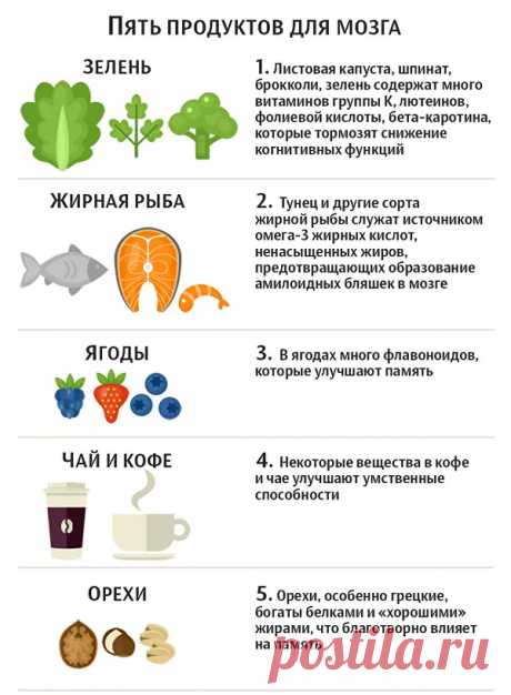 Ешь и умней. Какая пища нравится мозгу и от какой он страдает - РИА Новости, 12.01.2020