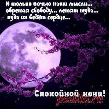 Открытки с пожеланием спокойной ночи и приятных снов