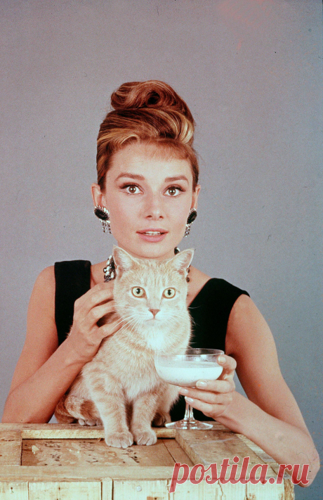 Audrey Hepburn Breakfast At Tiffany’s ,1961